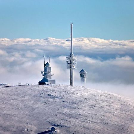 Waldoase Titisee Esterno foto